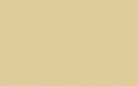 Little Greene Paint Tester - Stone Pale Cool #65