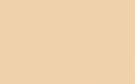Little Greene Paint Tester - Stone Pale Warm #34