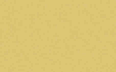 Little Greene Paint Tester - Sunlight #135