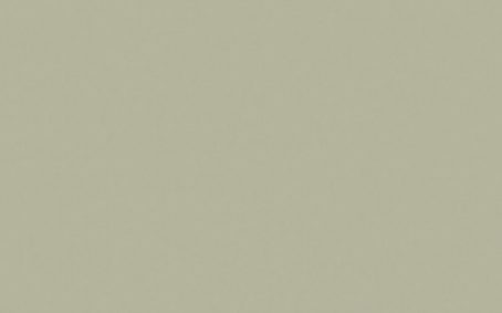 Little Greene Paint Tester - Tracery II #78