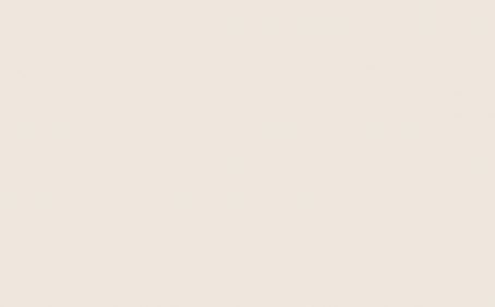 Little Greene Paint Tester - Tusk #237