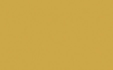 Little Greene Paint Tester - Yellow Pink #46