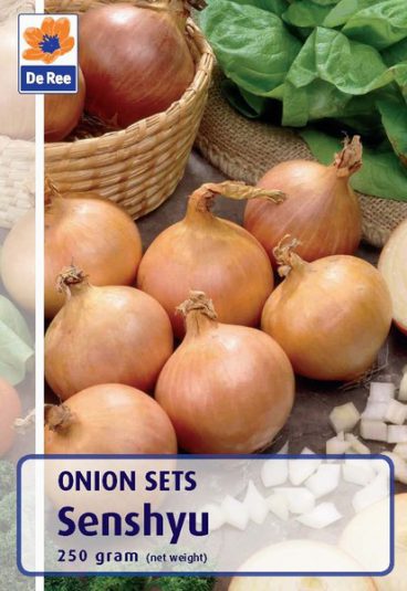 ONION SET SENSHYU