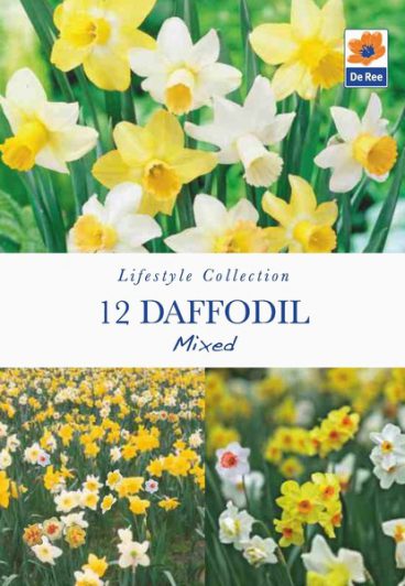 BULB DAFFODIL MIXED