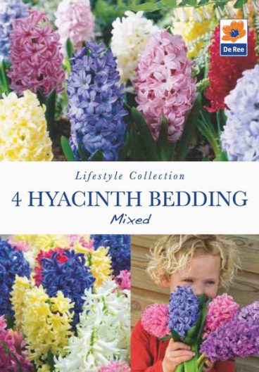 BULB HYACINTH HYACINTH BEDDING