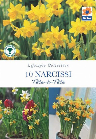 BULB NARCISSI TETE-A-TETE