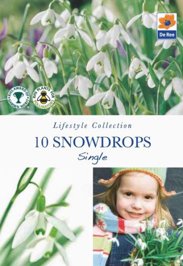BULB SNOWDROPS SINGLE