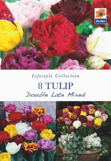 BULB TULIP DOUBLE LATE MIXED
