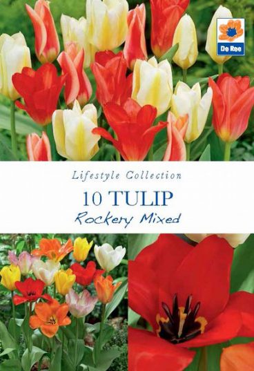 BULB TULIP ROCKERY MIX