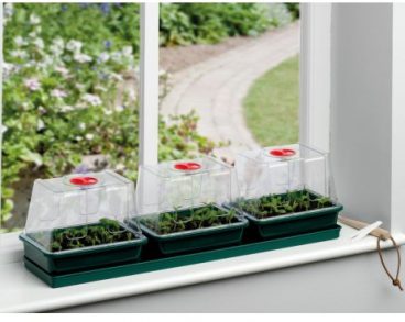 GARLAND WINDOWSILL PROPAGATOR (2023)