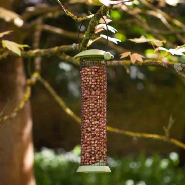 Chapelwood – Peanut Feeder