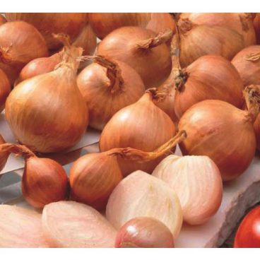 Onion Set – Shallots Golden Gourmet – 10pk