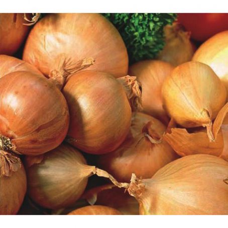 Onion Set - Shallots Red Sun - 10pk