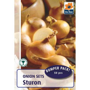 Onion Set – Sturon – 50pk