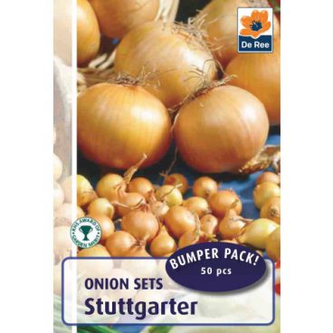 Onion Set – Stuttgarter – 50pk