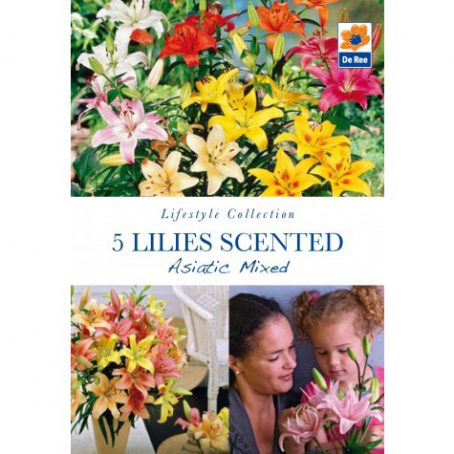 Flower Bulbs - Lillies Scented - 5pk