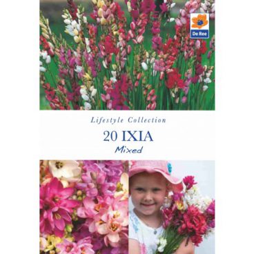 Flower Bulbs – Ixia Mixed – 20pk