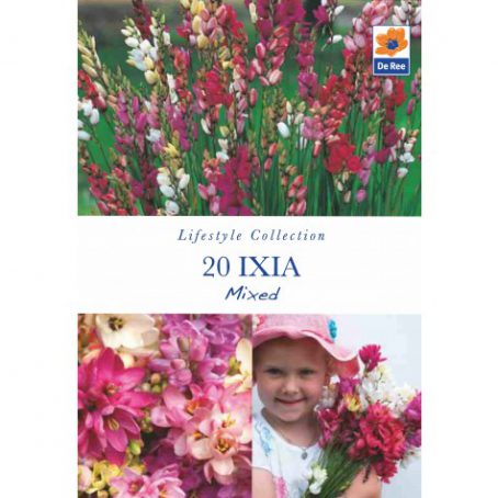 Flower Bulbs - Ixia Mixed - 20pk