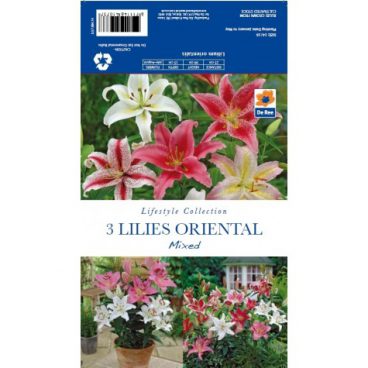 Flower Bulbs – Lillies Oriental Mixed – 3pk