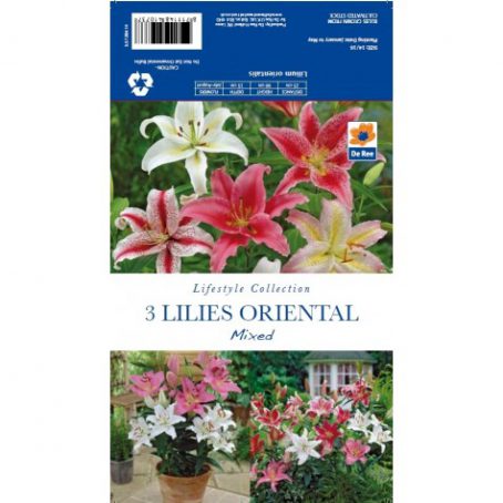 Flower Bulbs - Lillies Oriental Mixed - 3pk