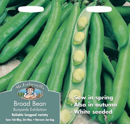 SEEDS - BROAD BEAN - BUNYARDS EXHIBITION