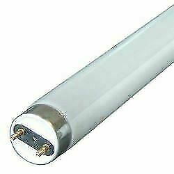 Eveready – Triphosphor Tube T8 840 Cool White – 3FT 30W