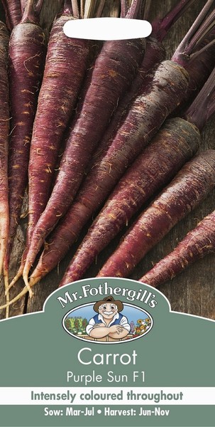 SEEDS – CARROT – PURPLE SUN F1