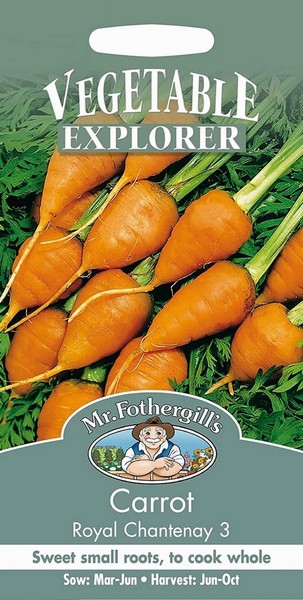 SEEDS – CARROT – ROYAL CHANTENAY 3