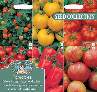 SEEDS – COLLECTIONS TOMATOES