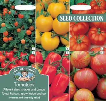 SEEDS – COLLECTIONS TOMATOES