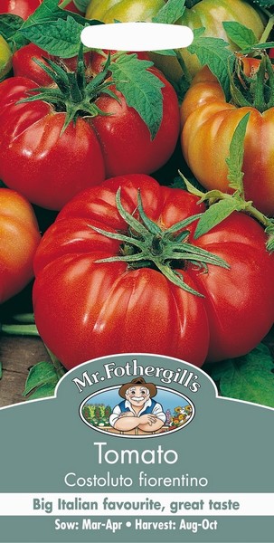 SEEDS – TOMATO – COSTOLUTO FIORENTINO