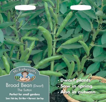 SEEDS – BROAD BEAN (DWARF) – SUTTON