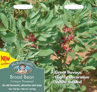 SEEDS – BROAD BEAN – CRIMSON FLOWERED