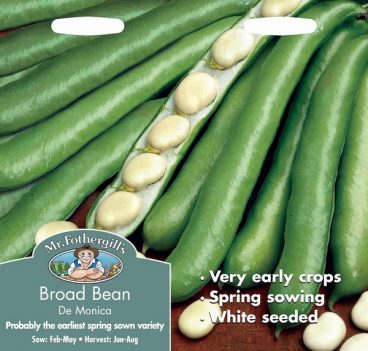 SEEDS – BROAD BEAN – DE MONICA