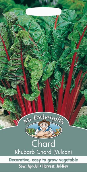 SEEDS – RHUBARB CHARD – VULCAN