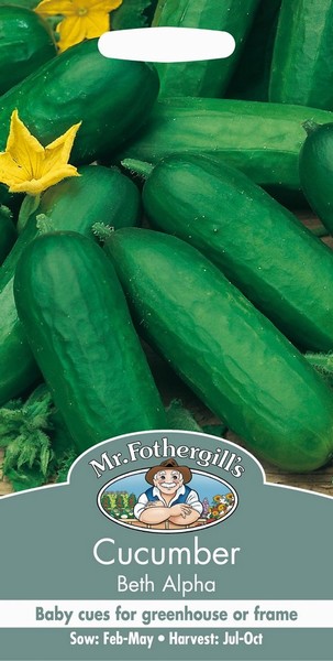 SEEDS – CUCUMBER – BETH ALPHA