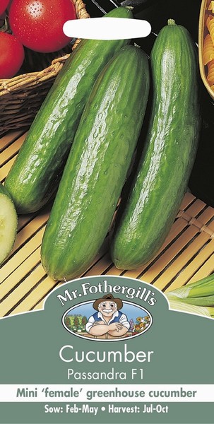 SEEDS – CUCUMBER – PASSANDRA F1