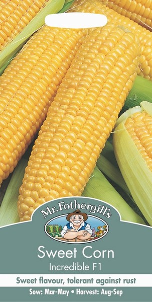 SEEDS – SWEET CORN – INCREDIBLE F1