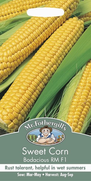 SEEDS – SWEET CORN – BODACIOUS RM F1