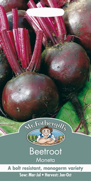 SEEDS – BEETROOT – MONETA