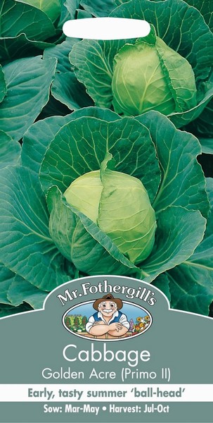 SEEDS – CABBAGE – GOLDEN ACRE  (PRIMO II)