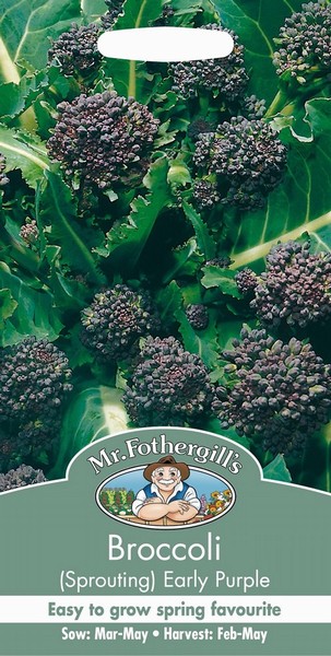 SEEDS – BROCCOLI – EARLY PURPLE