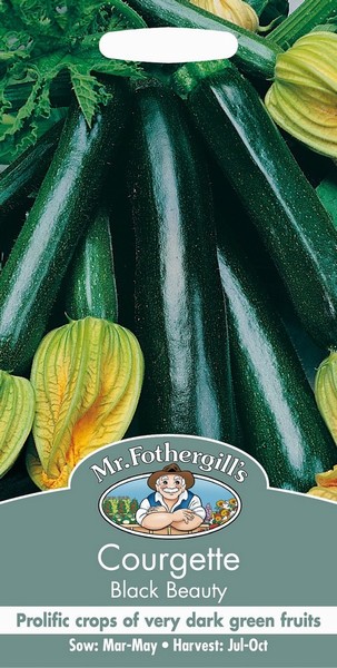 SEEDS – COURGETTE – BLACK BEAUTY