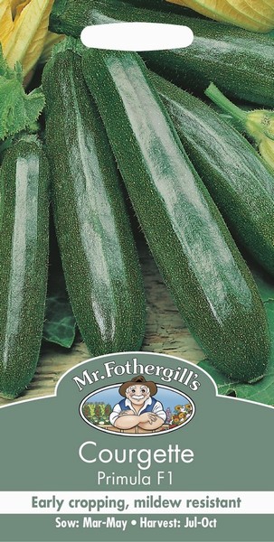 SEEDS – COURGETTE – PRIMULA F1