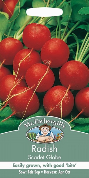 SEEDS – RADISH – SCARLET GLOBE