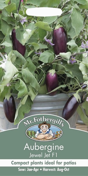 SEEDS – AUBERGINE – JEWEL JET F1