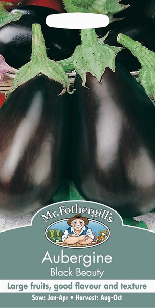 SEEDS – AUBERGINE – BLACK BEAUTY