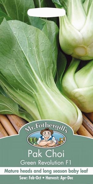 SEEDS – PAK CHOI – GREEN REVOLUTION F1