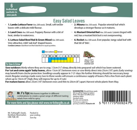 SEEDS - COLLECTIONS EASY SALAD LEAVES - Image 2