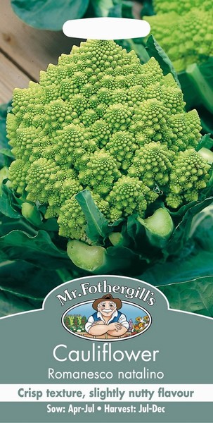 SEEDS – CAULIFLOWER – ROMANESCO NATALINO